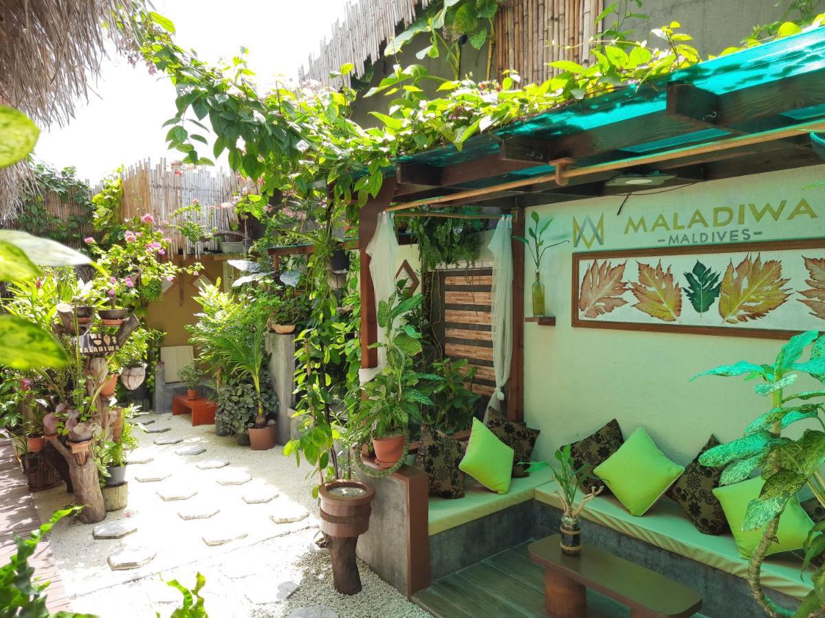 Maladiwa Beach & Spa Маафуши Экстерьер фото